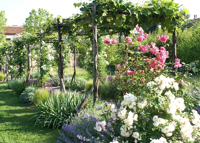 Bauer Palladio & ヴェネツィア