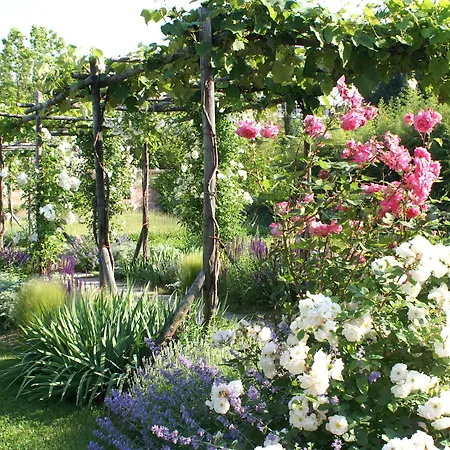 Bauer Palladio & Venecia