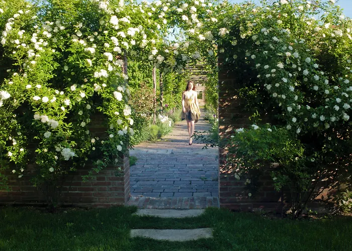 Bauer Palladio & Отель 5*