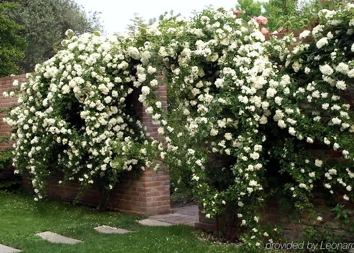 Bauer Palladio & Отель Венеция