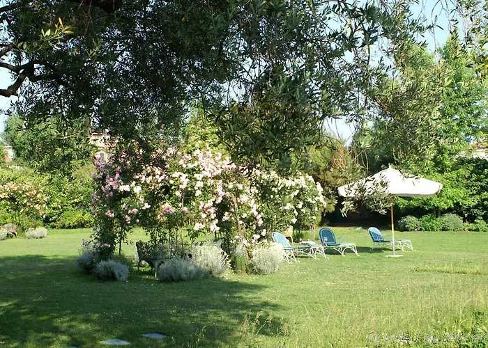 Отель Bauer Palladio &