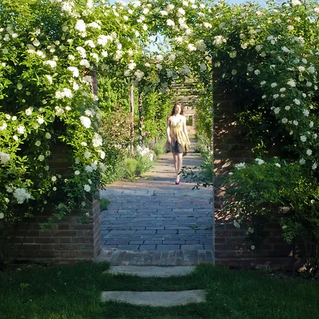 Bauer Palladio & Hotel 5*