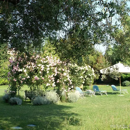 Hotell Bauer Palladio &