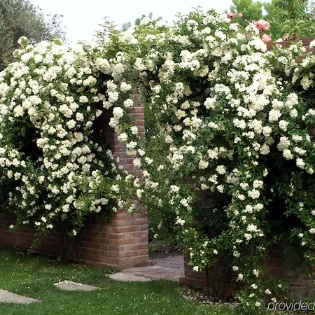 Bauer Palladio & فندق البندقية